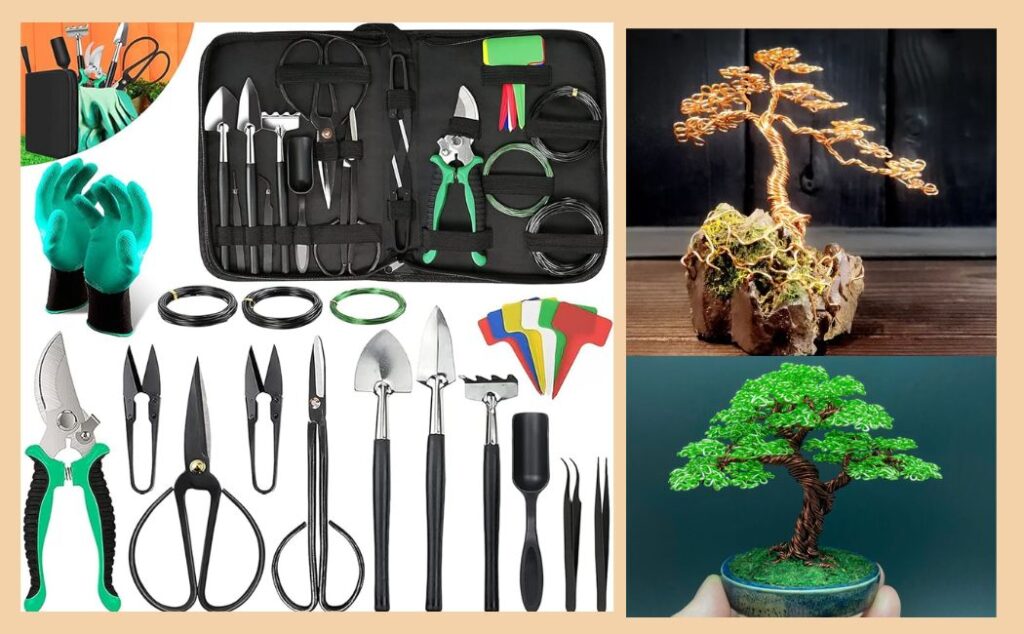 Bonsai Tree Uncommon Gifts Shop UGS starter kits